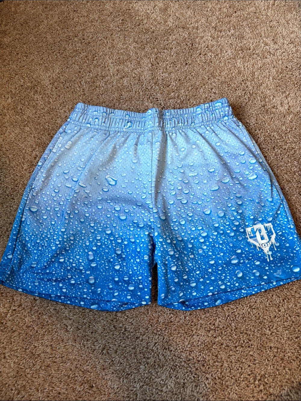 Baseball 101 boys rain delay shorts